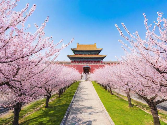 杏花岭区网站排名，揭秘如何提升本地企业在线竞争力