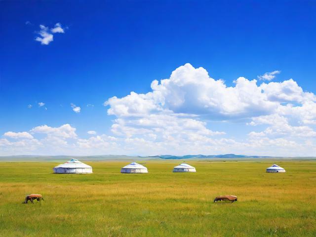 内蒙古网站建设优化排名，助力企业提升在线竞争力