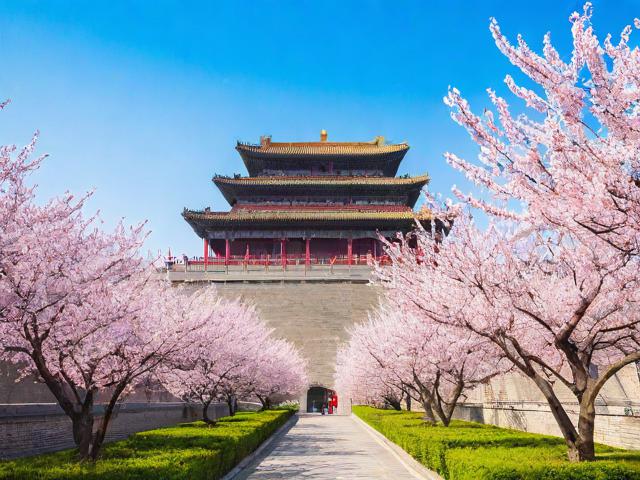 杏花岭区网站排名模板，打造高效网站优化策略