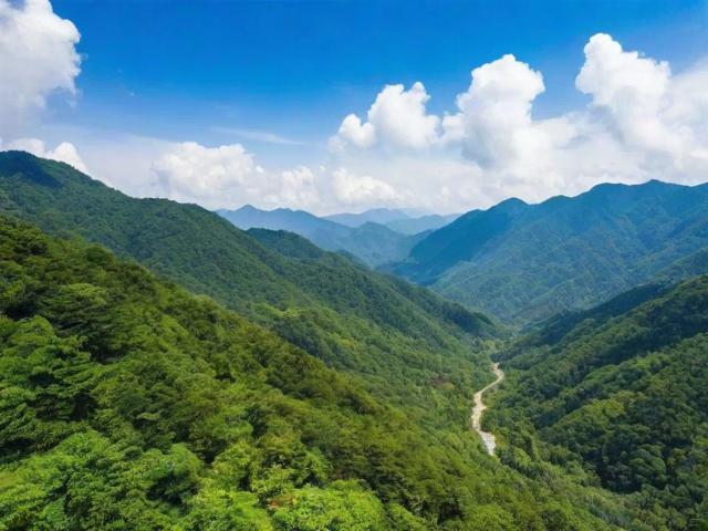 神农架林区网站排名，揭秘提升区域网络影响力的秘密武器