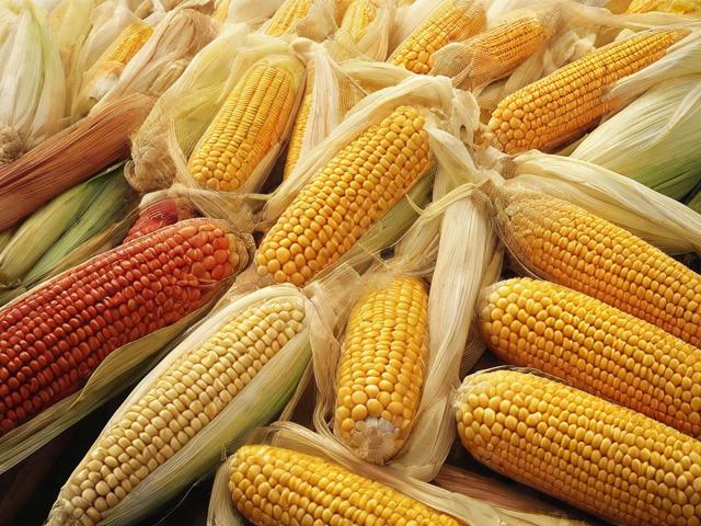 揭秘农副产品收购网站排名，助力农产品上行，赋能乡村振兴