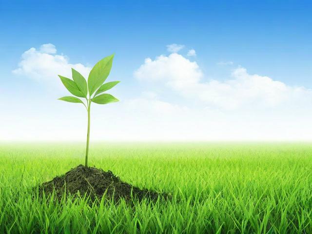 揭秘拔草哦网站，如何实现高效网站排名与用户粘性提升