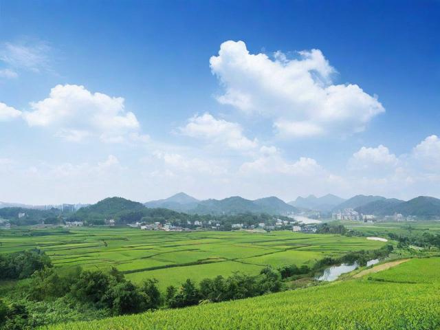 简阳网站优化排名推广，助力企业在线崛起，抢占市场先机，简阳企业在线崛起之道，网站优化排名推广策略