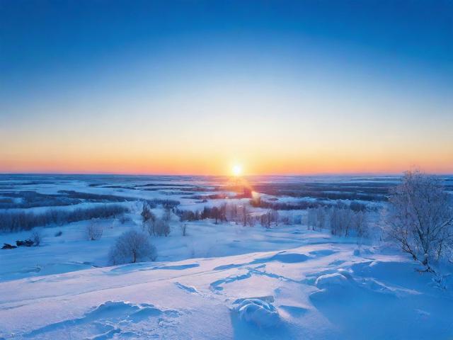 黑龙江文案策划网站排名，揭秘优秀文案策划平台，助力企业提升品牌形象