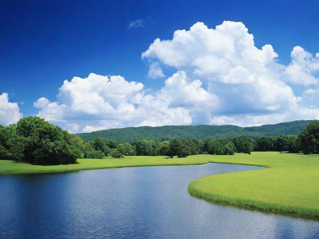 最全的学术论文网站排名，探索学术资源的黄金领地