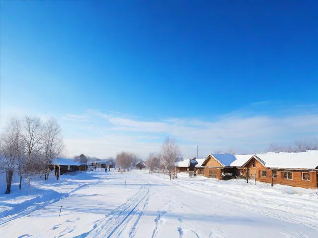 黑龙江网站搜索优化排名，提升网站流量，助力企业腾飞