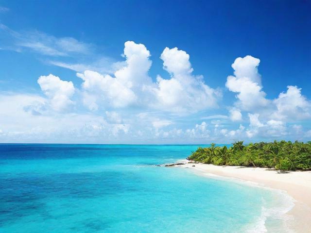 海口快速排名网站方法，全方位提升网站在搜索引擎中的排名策略