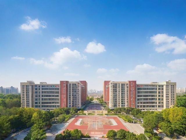 查成绩的网站考研排名，助力考生了解考研动态，实现梦想之路