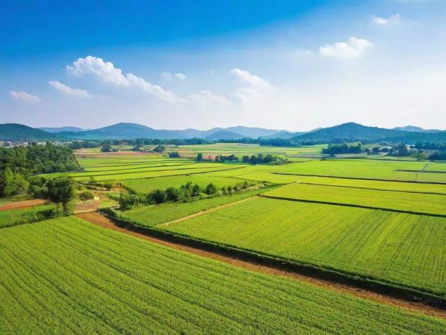 土地拓展网站排名，揭秘行业翘楚，助力企业精准布局