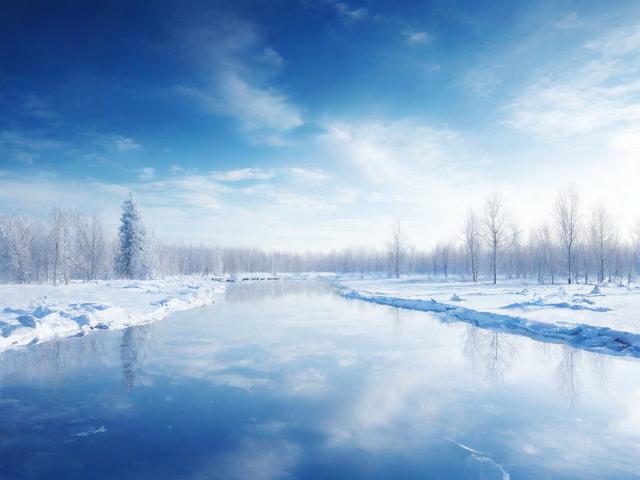 黑龙江品牌招商网站排名，助力企业拓展市场，引领行业风向标