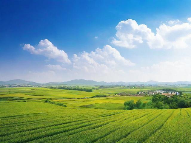 揭秘平阳网站优化公司排名，如何选择最适合您的合作伙伴