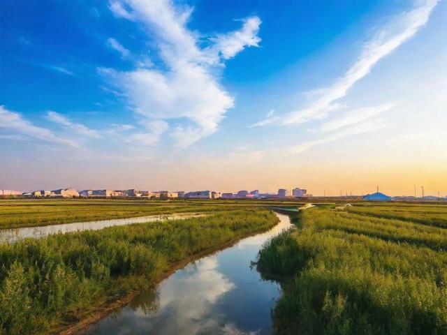 大庆网站建设排名一览表，揭秘地区网站建设实力与趋势