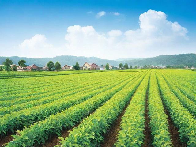 兽药批发商城网站排名，揭秘行业领先平台，助力养殖户高效采购