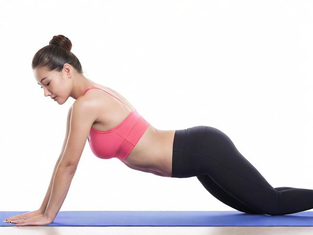 瑜伽商城网站排名，揭秘如何提升瑜伽产品在线销售竞争力