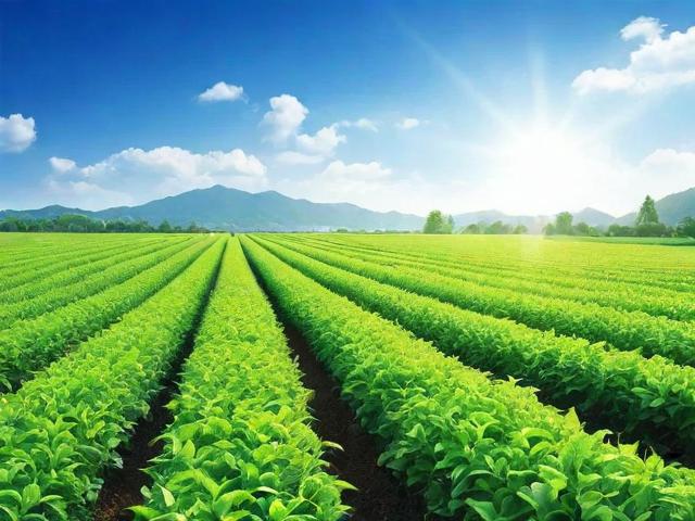 兽药专卖网站排名，揭秘行业佼佼者，助力养殖户精准选购