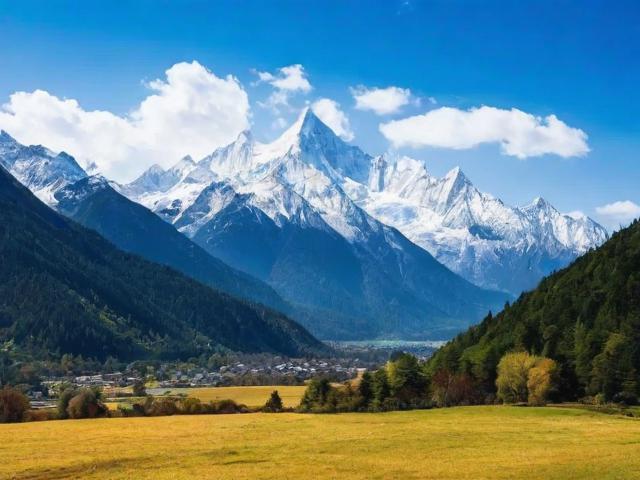 四川网站建设加盟排名，揭秘行业佼佼者，助力创业梦想起飞