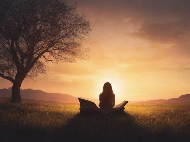 2023年度情感书单网站排名，探寻心灵慰藉的阅读圣地