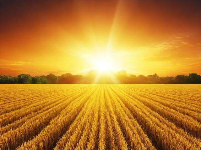 长丰网站关键词排名优化策略，提升网站流量与品牌影响力的秘诀