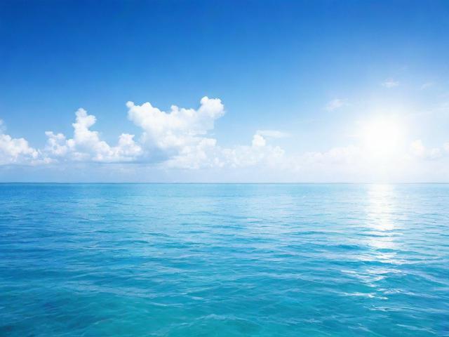 汕尾网站开发服务商排名，揭秘汕尾地区优秀服务商，助力企业数字化转型