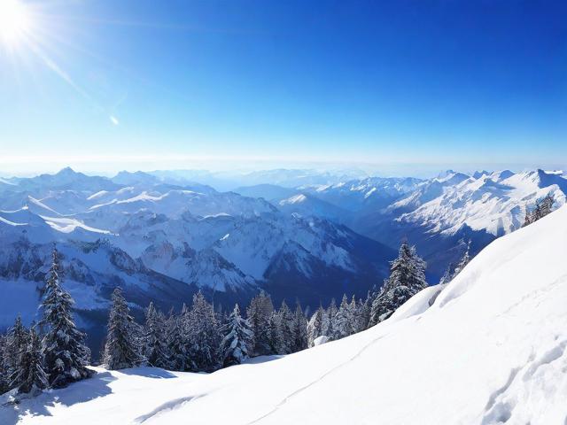 全面解析白山网站维护价格及其影响因素