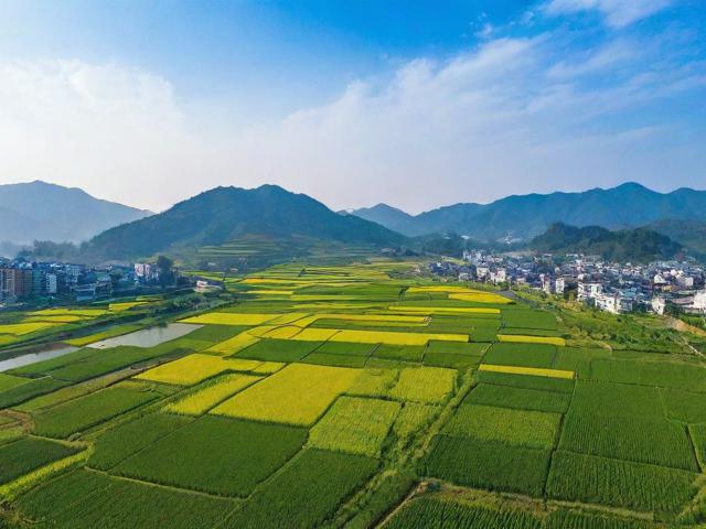 萧县优化网站排名，多维度策略助力企业线上崛起