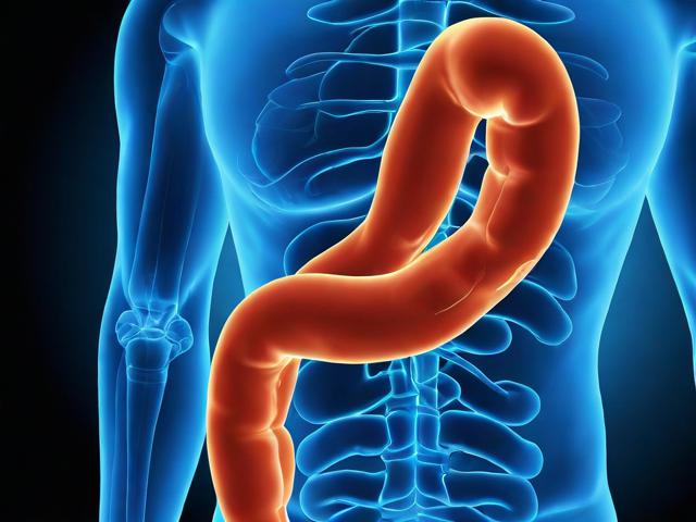 消化道人工智能：未来医疗诊断的智慧助手