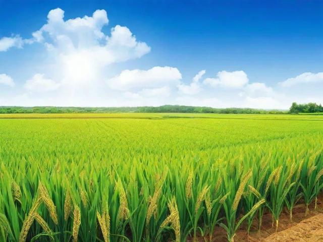 农业相关论坛网站排名，助力农业信息化发展的重要平台