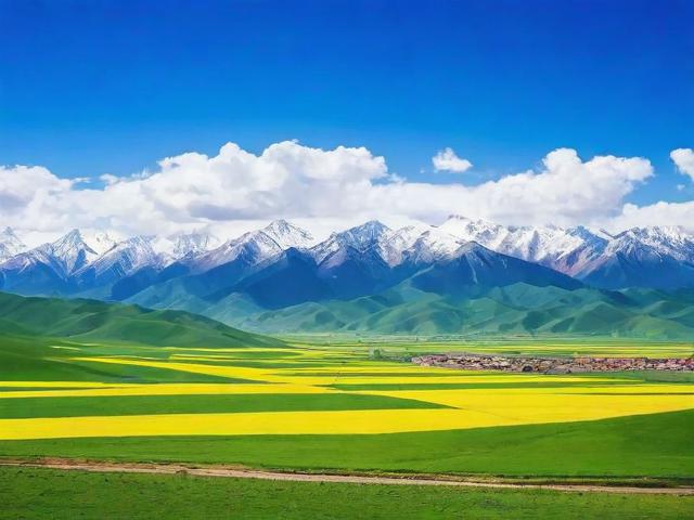 青海省网站排名优化软件，助力企业提升网络竞争力