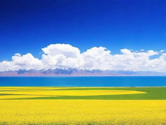 青海网站服务商排名，揭秘优质服务商，助力企业互联网发展