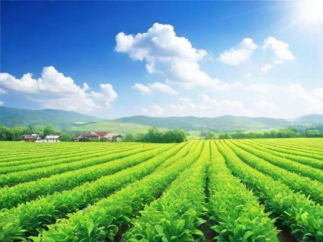 兽药销售网站排名，揭秘行业佼佼者，助力养殖户高效采购