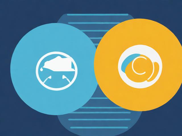 SEO教程，如何通过排名优化推广您的网站，提升网站流量与知名度