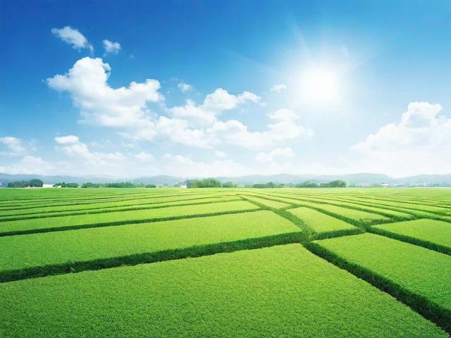 2023年国内外生态修复网站排名解析，绿色复苏的数字化平台一览