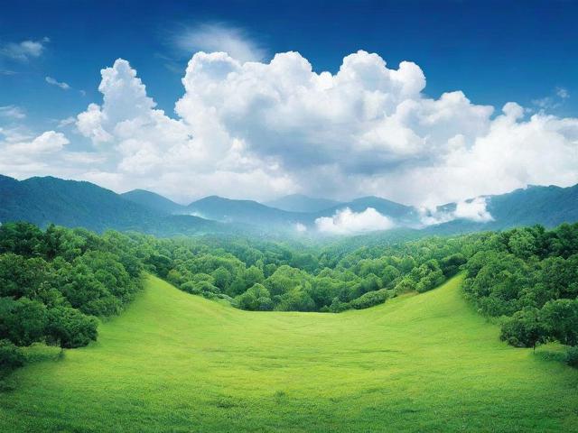 自然资源交易网站排名，揭秘我国在线交易平台风云榜