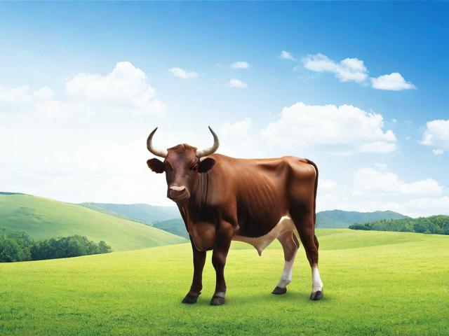 金牛区网站优化排名推广，助力企业提升在线竞争力