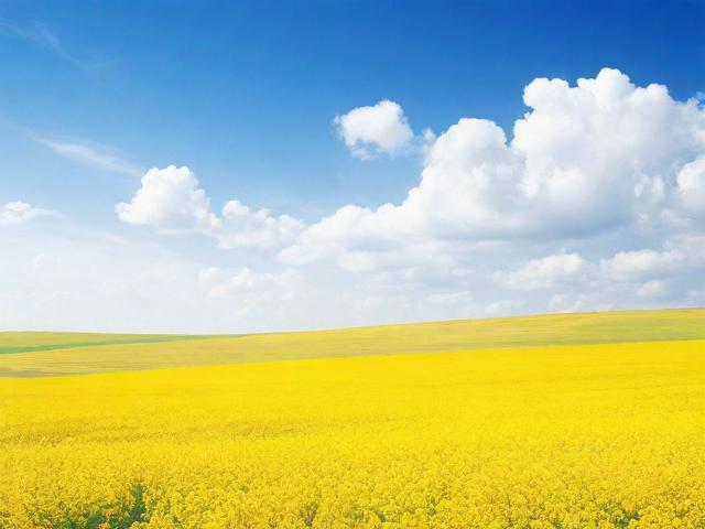 2023年度十大黄页网站排名榜，探索行业领先者的风采