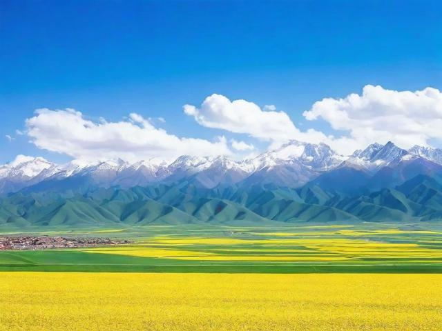 青海省网站排名优化公司，助力企业提升网络影响力，抢占市场先机