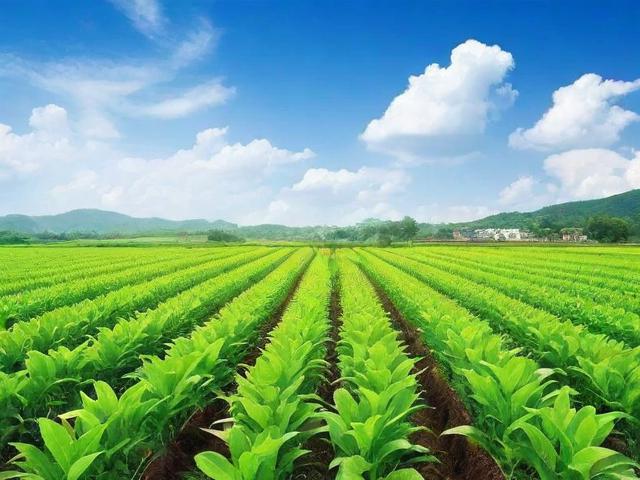 农业经济类网站排名，揭秘农业领域信息平台的佼佼者