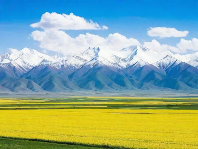 青海省网站排名推广策略，提升在线影响力的秘密武器