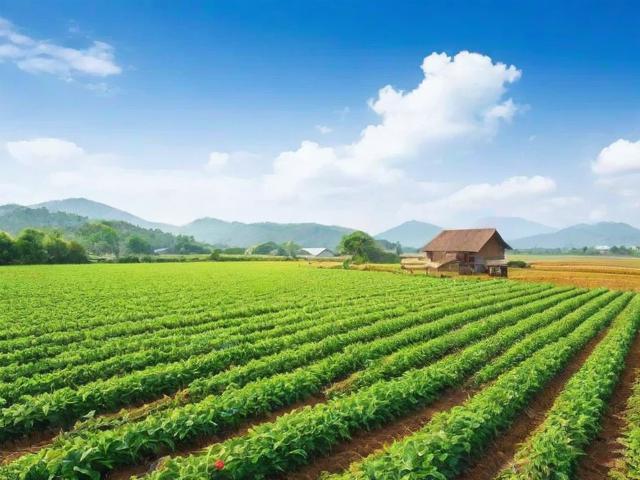 2023年养殖行业专业网站排名解析，助力养殖户精准选择信息平台