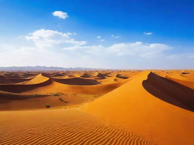 2023年甘肃网站建设供应商排名解析，行业翘楚谁主沉浮？