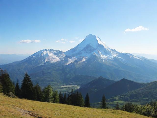 探索玉山网站建设与维护的性价比选择