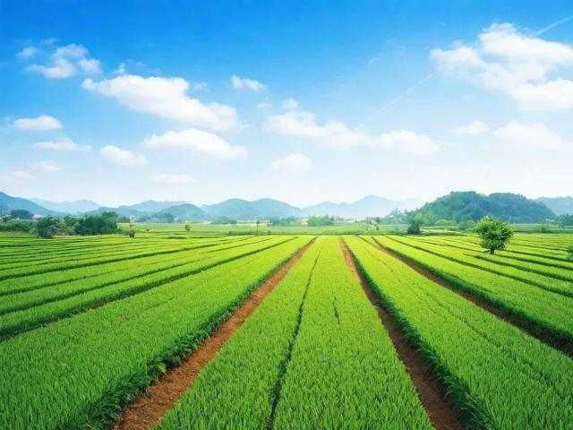 农村土地拍卖网站排名，揭秘农业信息化时代下的土地流转新渠道