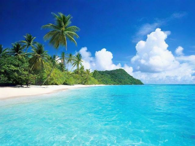 海南旅游网站排名，盘点最受欢迎的旅游平台，让你的度假之旅更便捷！