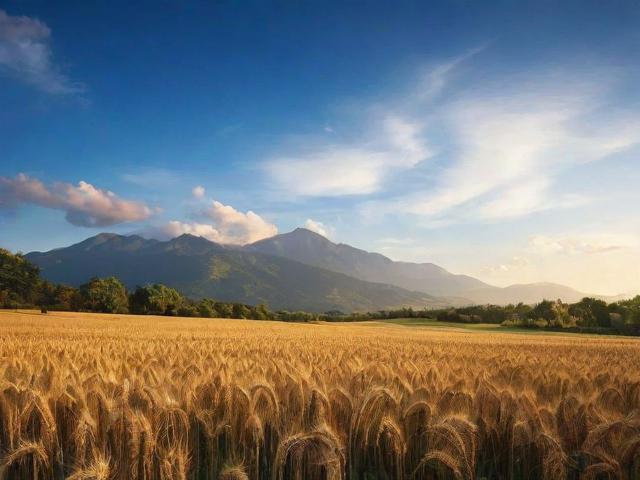 团购网站排名揭秘，揭秘行业风云，助您轻松选择优质团购平台