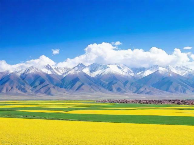 青海省网站建设排名，解析青海地区网站建设的现状与趋势