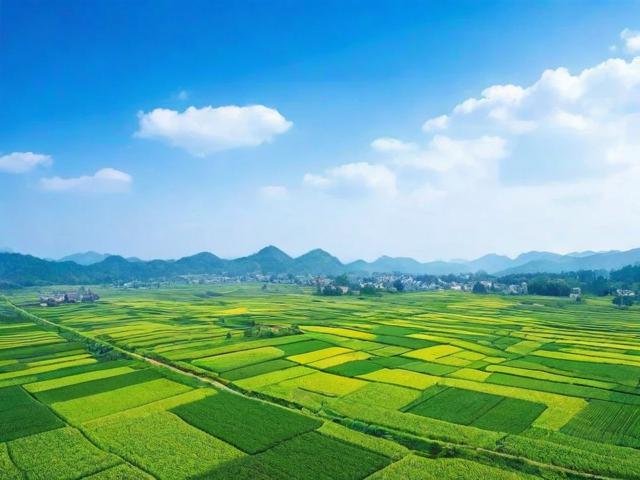 丰县优化网站排名，提升网络影响力，助力县域经济发展