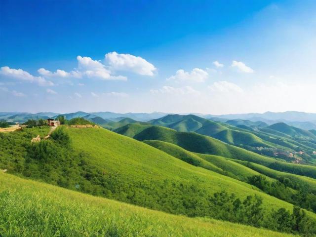 蓟县网站优化排名，提升网站流量，助力企业腾飞