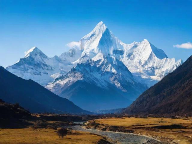 四川省网站排名优化公司，助力企业网络营销，提升品牌知名度