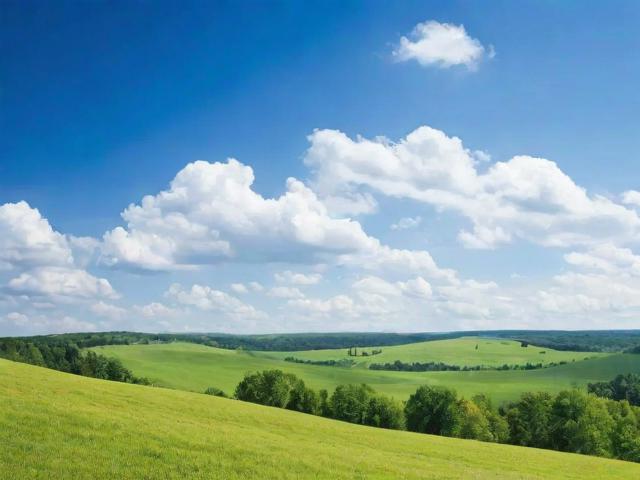 揭秘2023年度最受欢迎的拍卖网站排名，你心仪的网站在榜上吗？