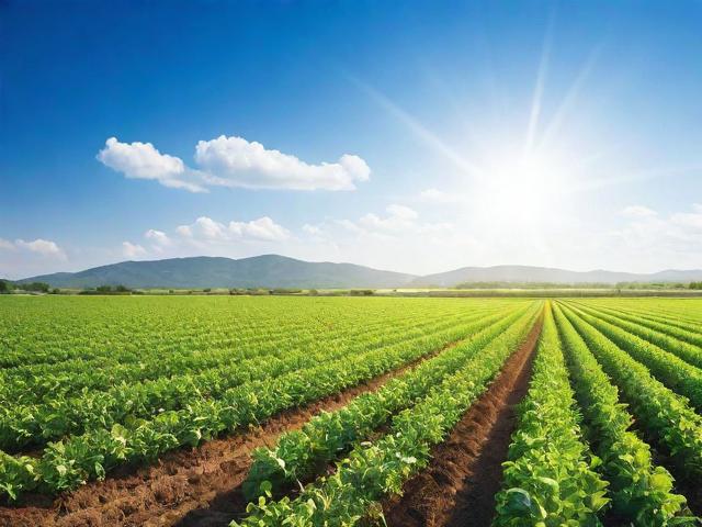 2023年美国灌溉产品网站排名，洞察行业领先者与创新趋势